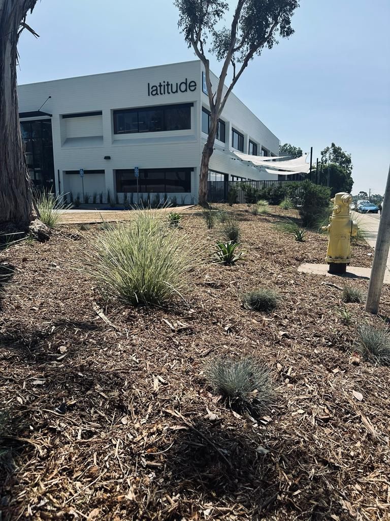 Drought-tolerant planting beds outside a Scripps Ranch office building