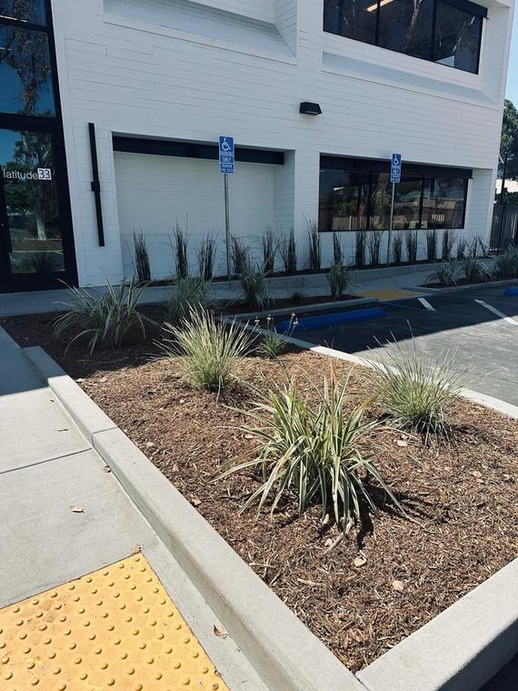 Scripps Ranch Commercial Landscape — photo 2 of 9