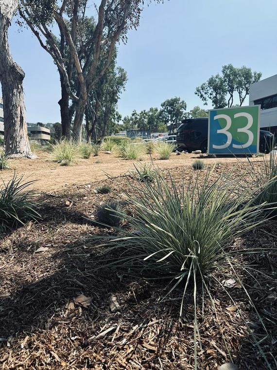 Scripps Ranch Commercial Landscape — photo 6 of 9