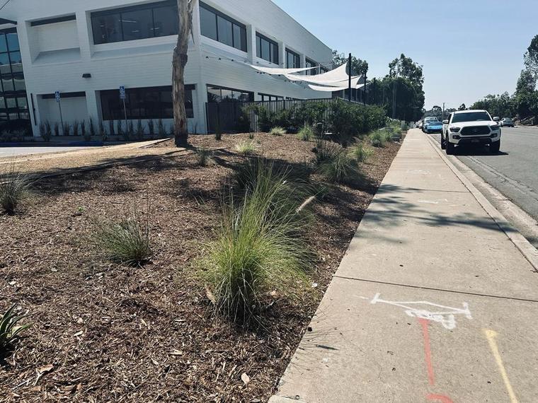 Scripps Ranch Commercial Landscape — photo 7 of 9