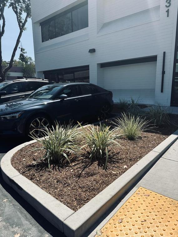 Scripps Ranch Commercial Landscape — photo 8 of 9