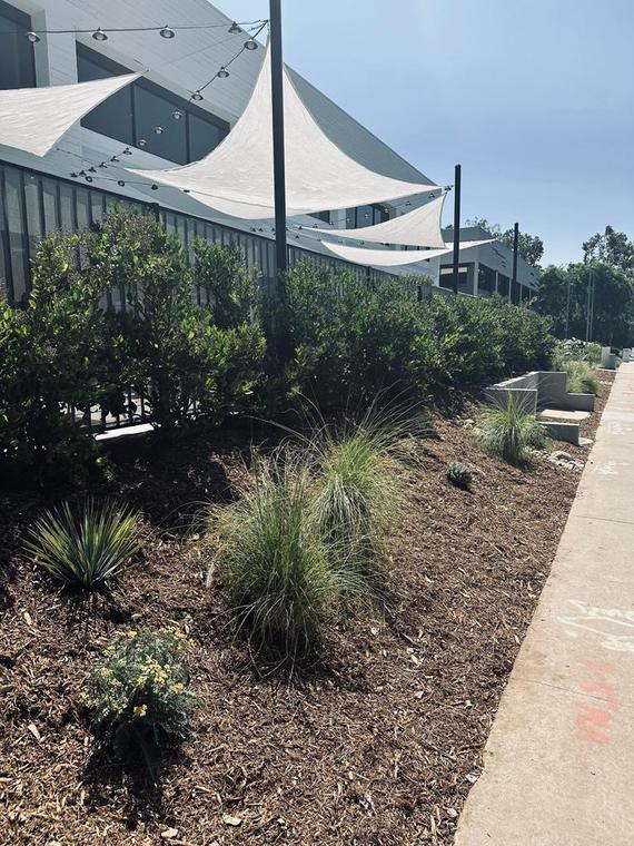 Scripps Ranch Commercial Landscape — photo 9 of 9